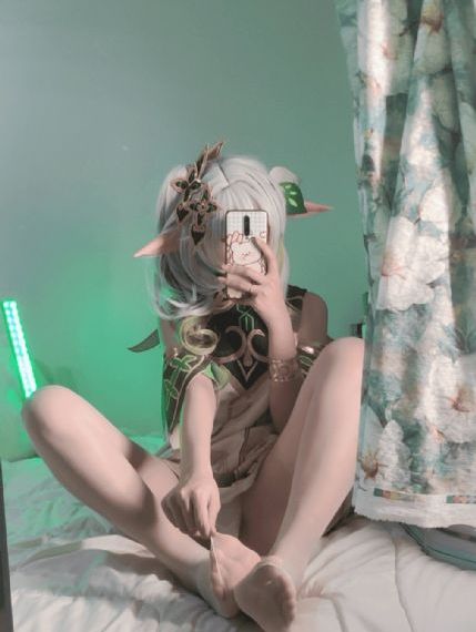 柳舟记电视剧免费观看全集高清